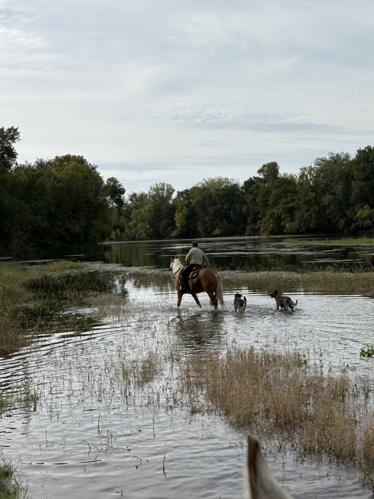 Balalde à cheval en bord de Loire avec Maison Guiseau